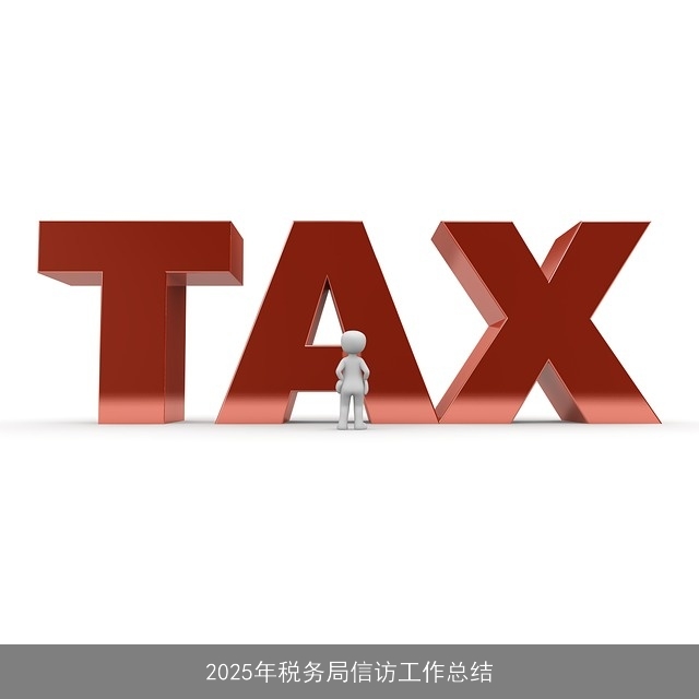 2025年税务局信访工作总结