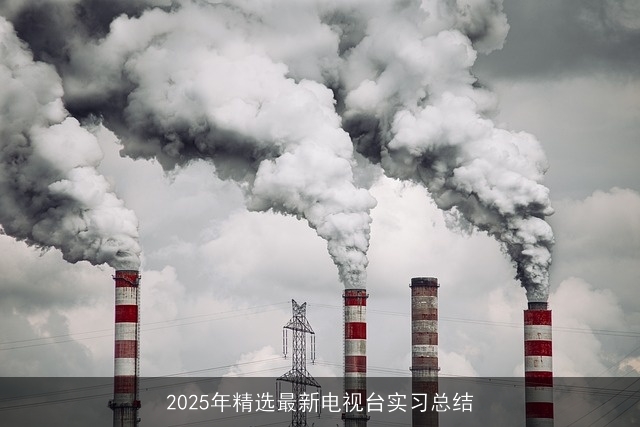 2025年精选最新电视台实习总结