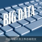 2025年统计员工作总结范文