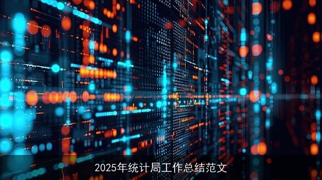 2025年统计局工作总结范文