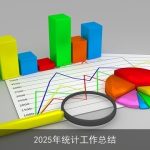 2025年统计工作总结