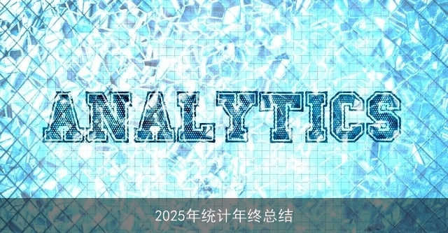 2025年统计年终总结