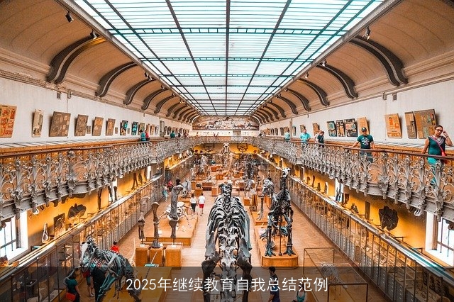 2025年继续教育自我总结范例