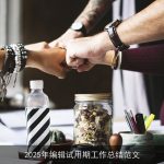 2025年编辑试用期工作总结范文