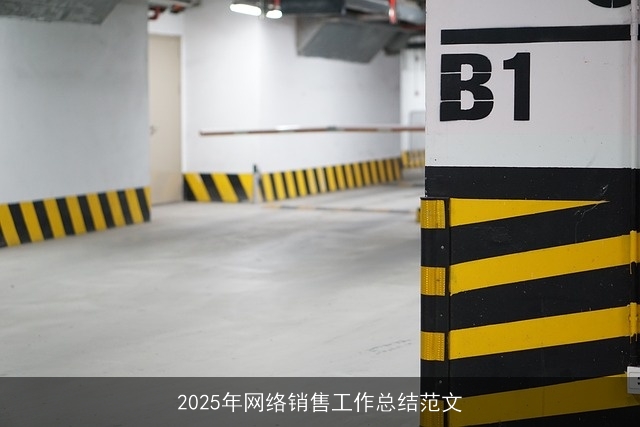 2025年网络销售工作总结范文