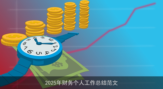 2025年财务个人工作总结范文