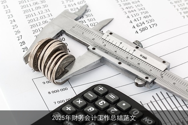 2025年财务会计工作总结范文