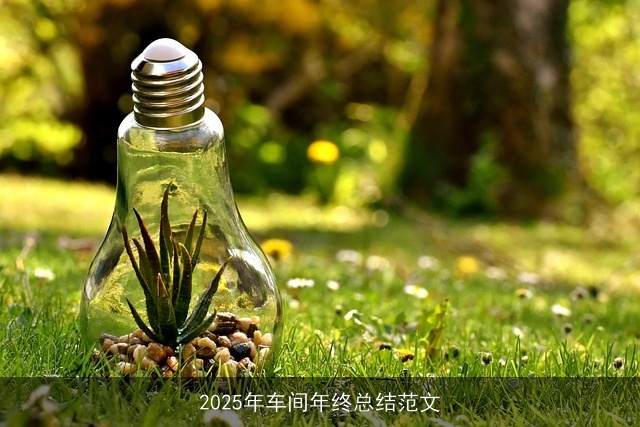 2025年车间年终总结范文