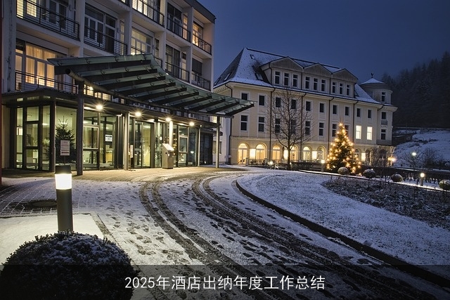 2025年酒店出纳年度工作总结