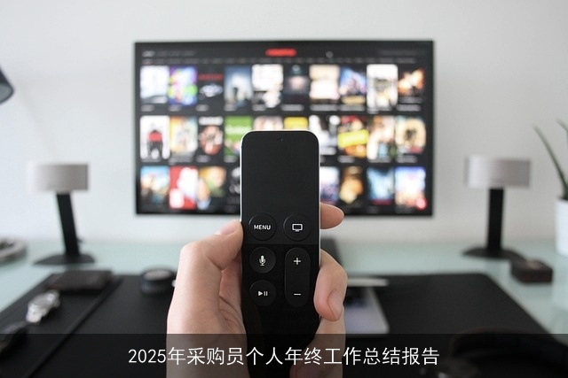 2025年采购员个人年终工作总结报告