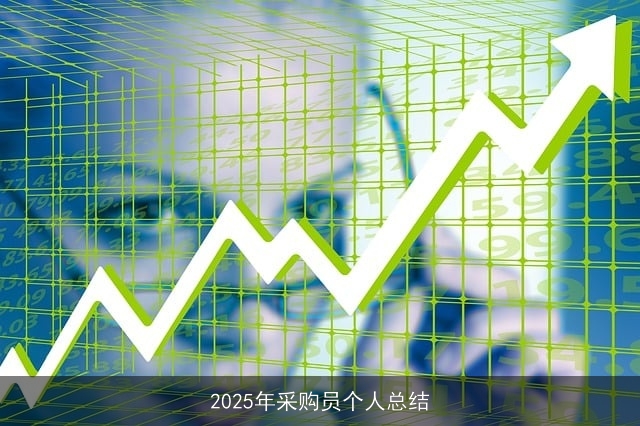 2025年采购员个人总结
