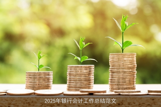 2025年银行会计工作总结范文