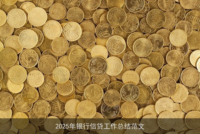 2025年银行信贷工作总结范文
