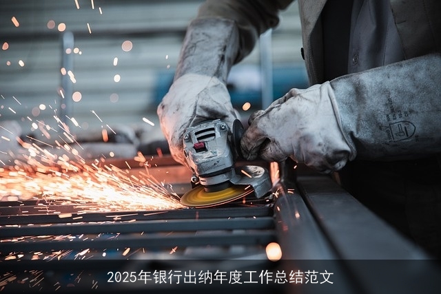 2025年银行出纳年度工作总结范文