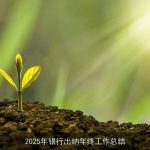 2025年银行出纳年终工作总结