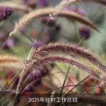 2025年驻村工作总结