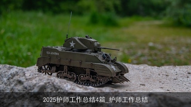 2025护师工作总结4篇_护师工作总结