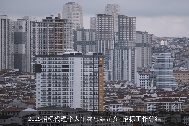 2025招标代理个人年终总结范文_招标工作总结