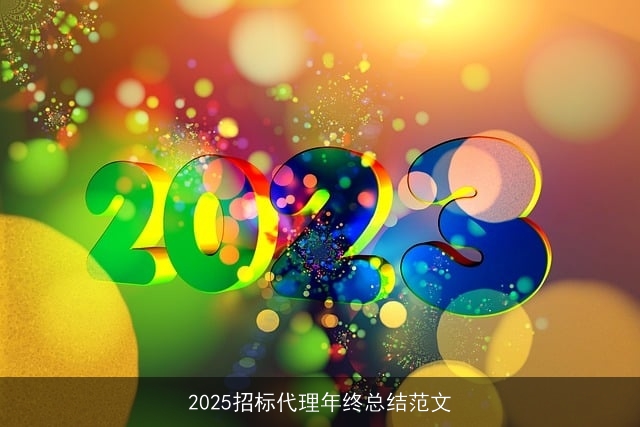 2025招标代理年终总结范文
