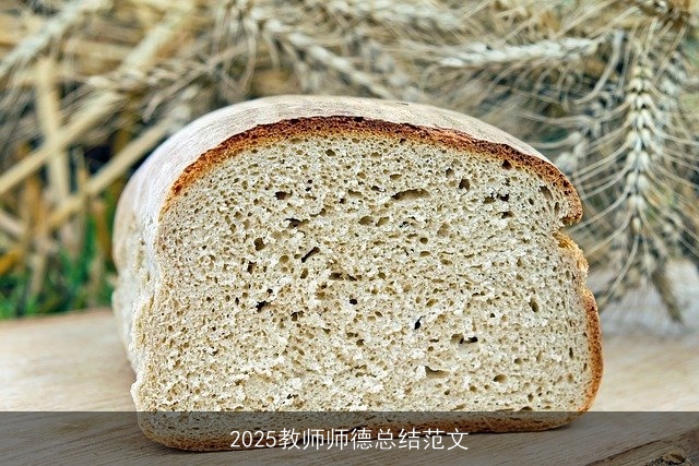 2025教师师德总结范文