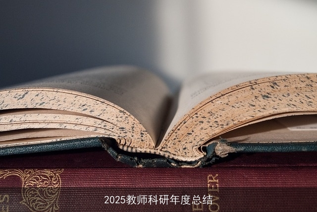 2025教师科研年度总结