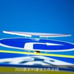 2025新农村建设工作总结