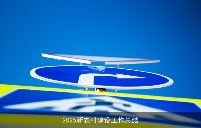 2025新农村建设工作总结