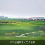 2025旅游局个人工作总结