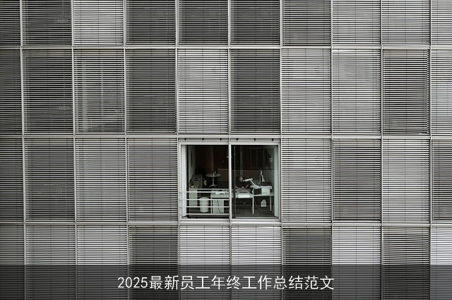 2025最新员工年终工作总结范文