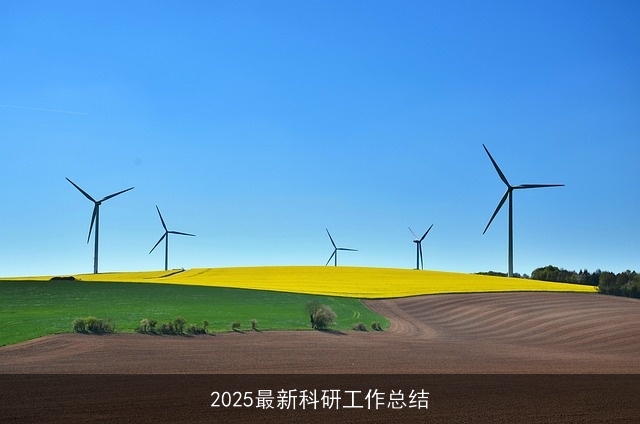 2025最新科研工作总结