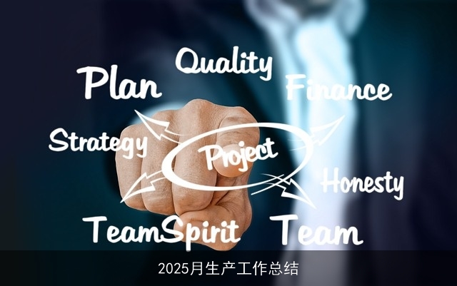 2025月生产工作总结