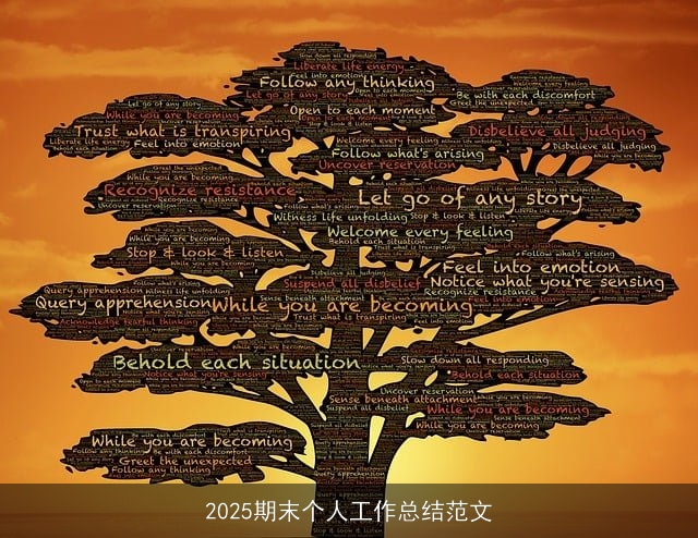 2025期末个人工作总结范文