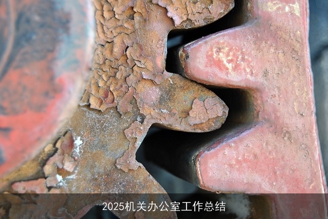 2025机关办公室工作总结