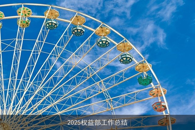 2025权益部工作总结