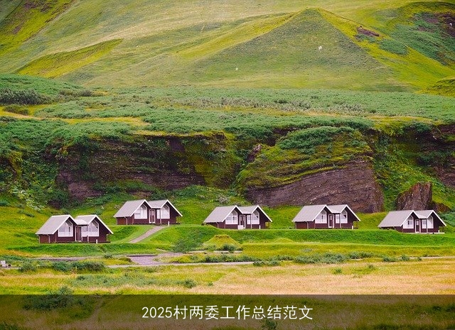 2025村两委工作总结范文