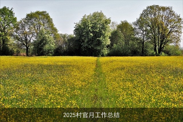 2025村官月工作总结