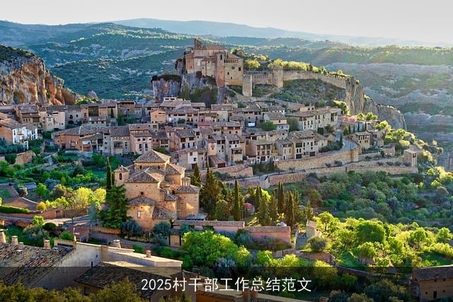 2025村干部工作总结范文