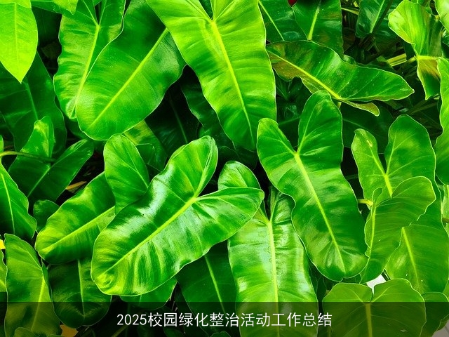 2025校园绿化整治活动工作总结