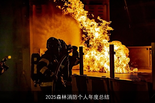 2025森林消防个人年度总结