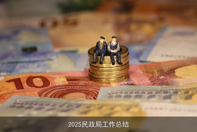 2025民政局工作总结