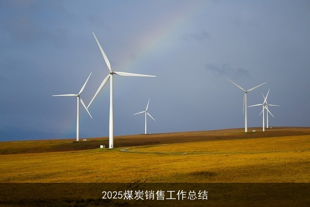 2025煤炭销售工作总结