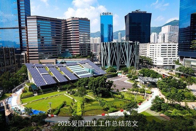 2025爱国卫生工作总结范文