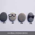 2025物业公司年度总结范文
