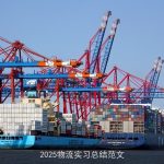 2025物流实习总结范文