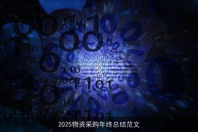2025物资采购年终总结范文
