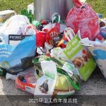 2025环卫工作年度总结