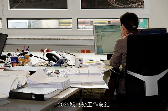 2025秘书处工作总结