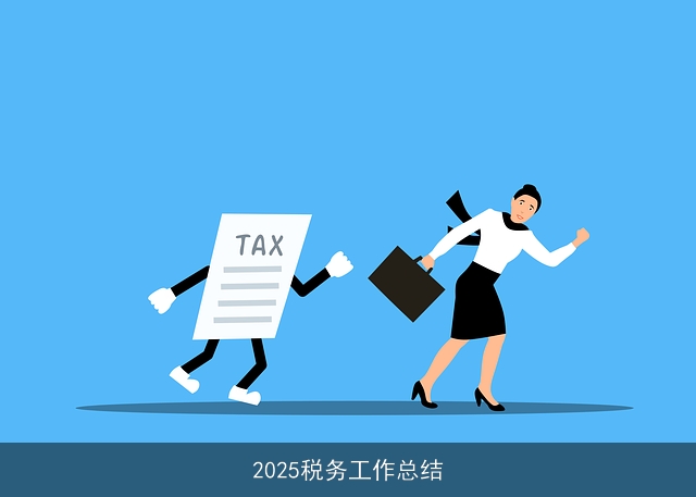 2025税务工作总结