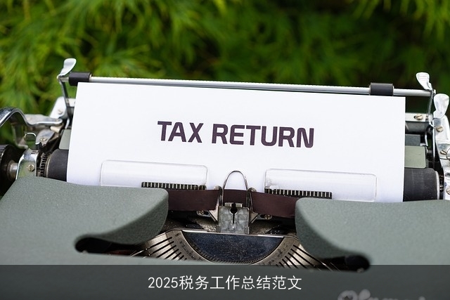 2025税务工作总结范文
