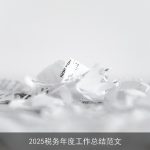 2025税务年度工作总结范文